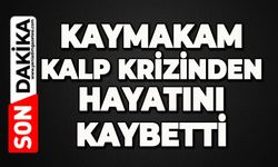 Kaymakam kalp krizinden hayatını kaybetti