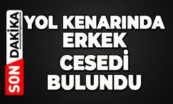 Yol kenarından cansız bedeni bulundu