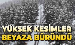 Yüksek kesimlerde lapa lapa kar yağdı
