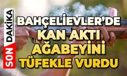 Bahçelievler'de kan aktı: Ağabeyini tüfekle vurdu