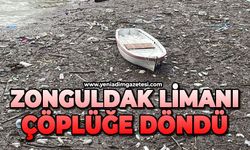 Zonguldak Limanı çöplüğe döndü