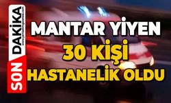 Mantar yiyen 30 kişi hastanelik oldu