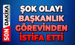 2 ay önce seçildiği başkanlık görevinden istifa etti