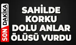 Sahilde korku dolu anlar yaşandı: Ölüsü vurdu