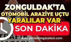 Zonguldak'ta otomobil araziye uçtu; 4 yaralı