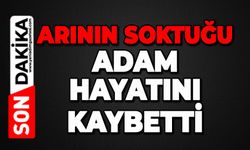Arının soktuğu adam hayatını kaybetti