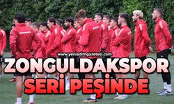 Zonguldakspor seri peşinde