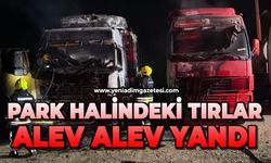 Park halindeki tırlar alev alev yandı