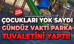 Çocukları yok saydı, gündüz vakti parka tuvaletini yaptı!