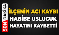 Mahallenin sevilen ismi Habibe Uslucuk hayatını kaybetti