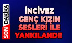 İncivez genç kızın sesleri ile yankılandı!