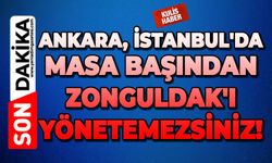 Ankara, İstanbul'da masa başından Zonguldak'ı yönetemezsiniz!