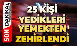 Yedikleri yemekten zehirlenen 25 kişi hastanelik oldu
