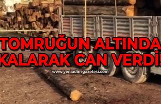 Tomruğun altında kalarak can verdi!