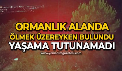 Ormanlık alanda bulunmuştu: Hayata tutunamadı...