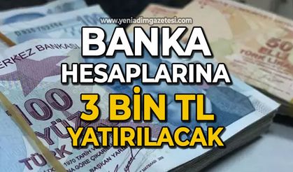 Hesaplara 1 Nisan'dan itibaren 3 bin TL yatırılacak!