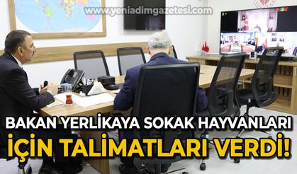 Bakan Ali Yerlikaya talimatları verdi: Zonguldak'ta başıboş sokak hayvanları toplanacak mı?