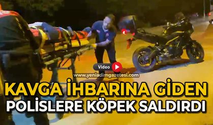 Kavga ihbarına giden polislere köpek saldırdı: 2 yaralı