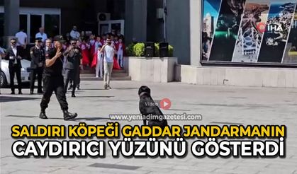 Saldırı köpeği Gaddar, jandarmanın caydırıcı yüzünü gösterdi