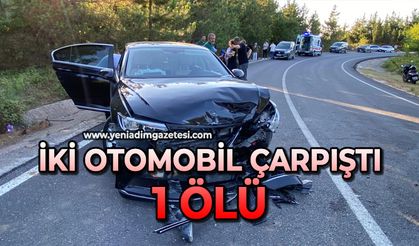 İki otomobil çarpıştı: 1 ölü