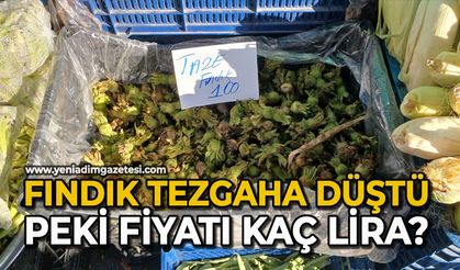 Fındık tezgaha düştü: Peki, fiyatı kaç lira?