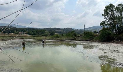 Gölette can çekişen onlarca balık kurtarıldı