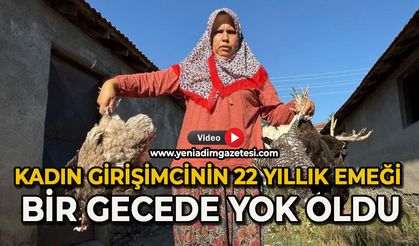 Kadın girişimcinin 22 yıllık emeği bir gecede yok oldu