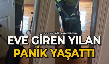 Eve giren yılan itfaiye ekiplerince yakalanarak doğaya salındı