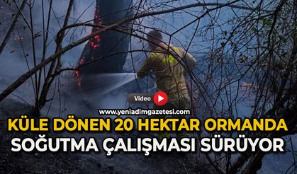 Küle dönen 20 hektar ormanda, soğutma çalışması sürüyor