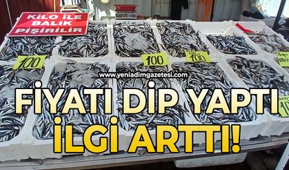 Fiyatı dip yaptı ilgi arttı