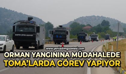 Orman yangınına müdahalede TOMA'lar da görev yapıyor