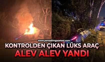 Kontrolden çıkan lüks araç ağaçlara çarparak alev alev yandı