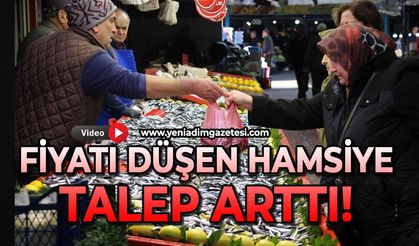 Fiyatı düşen hamsiye talep arttı