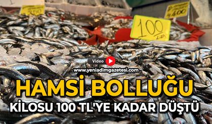 Hamsi bolluğu: Kilosu 100 tl'ye kadar düştü