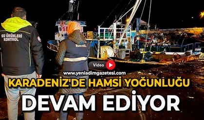 Karadeniz'de hamsi yoğunluğu devam ediyor