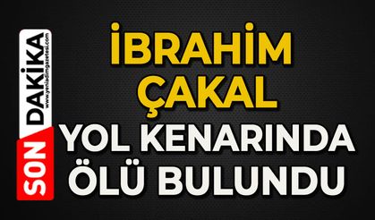 Aracın çarptığı vatandaşın cenazesi yol kenarında bulundu