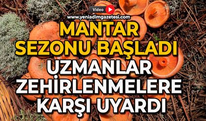 Mantar sezonu başladı: Uzmanlar zehirlenmelere karşı uyardı