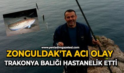 Zonguldak'ta acı olay: Trakonya balığı hastanelik etti