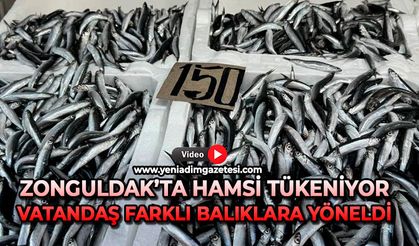 Zonguldak’ta hamsi tükeniyor: Vatandaş farklı balıklara yöneldi