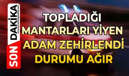 Topladığı mantarları yiyen bir kişi zehirlendi