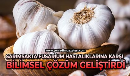 Sarımsakta Fusarium hastalıklarına karşı bilimsel çözüm geliştirdi