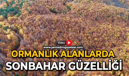 Ormanlık alanlarda sonbahar güzelliği