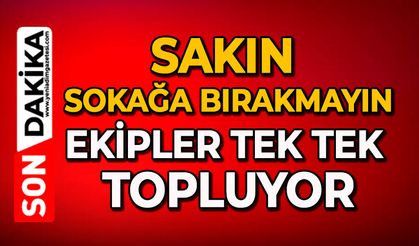 Sakın sokağa bırakmayın: Ekipler tek tek topluyor