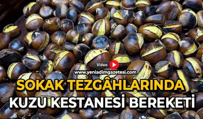 Sokak tezgâhlarında kuzu kestanesi bereketi