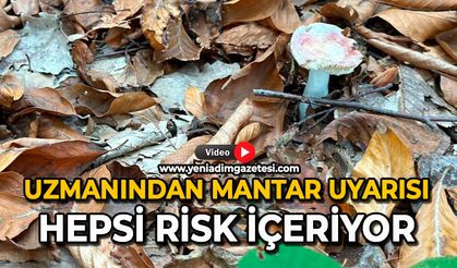 Uzmanından mantar uyarısı: Hepsi risk içeriyor