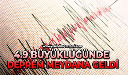 4.9 büyüklüğünde deprem meydana geldi