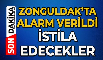 Zonguldak’ta alarm verildi: İstila edecekler