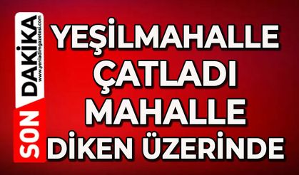Yeşil mahalle çatladı: Herkes tedirgin