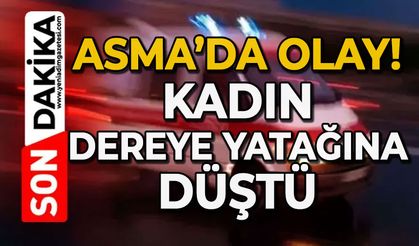 Asma'da olay: Kadın dere yatağına düştü