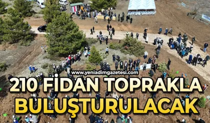 210 bin fidan toprakla buluşturulacak